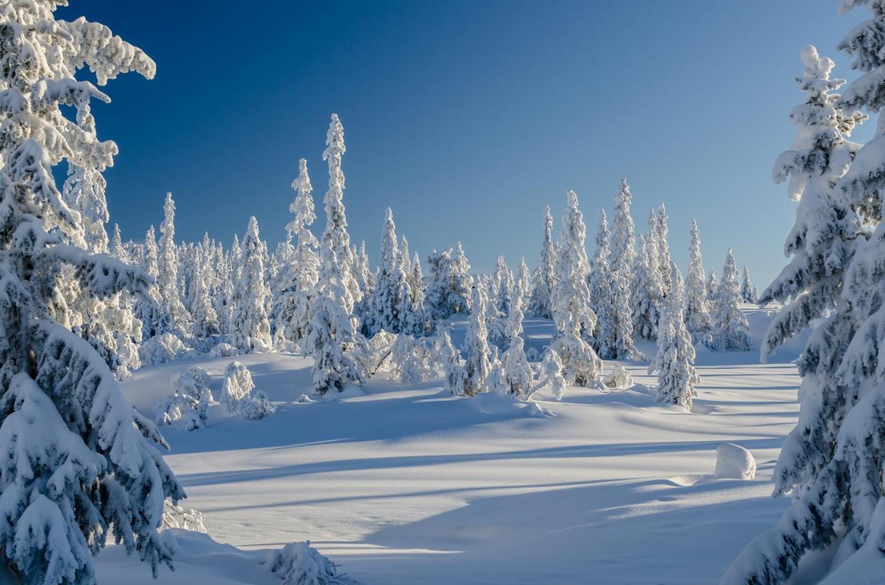 Blefjell Lodge 兰帕兰德 外观 照片