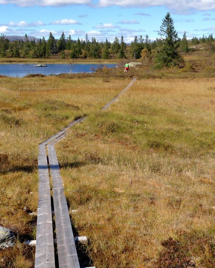 Blefjell Lodge 兰帕兰德 外观 照片