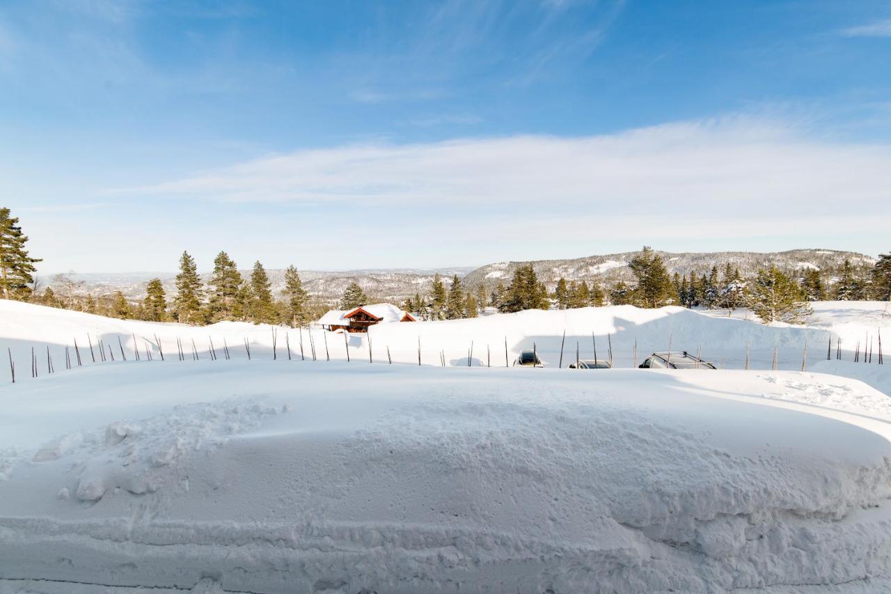 Blefjell Lodge 兰帕兰德 外观 照片